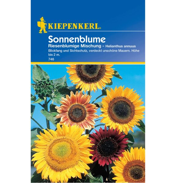 Sonnenblumensamen für 2m² anbaufläche